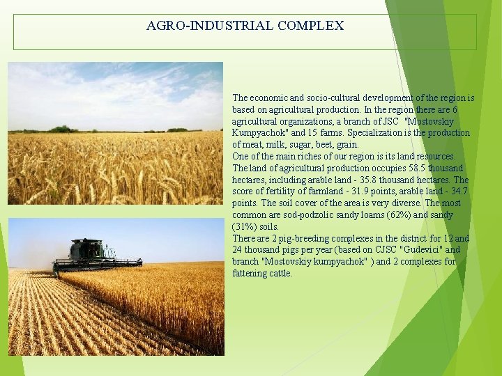 AGRO-INDUSTRIAL COMPLEX The economic and socio-cultural development of the region is based on agricultural