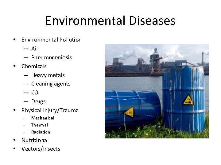 Environmental Diseases • Environmental Pollution – Air – Pneumoconiosis • Chemicals – Heavy metals