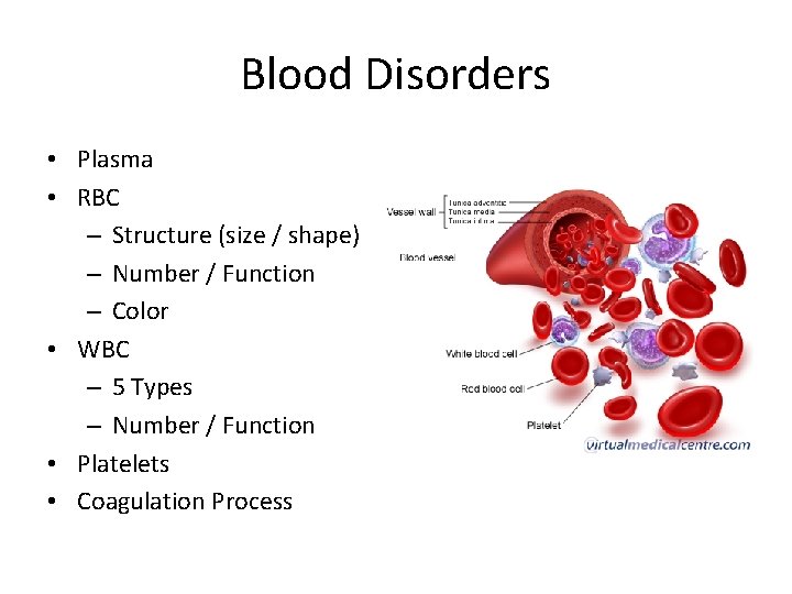 Blood Disorders • Plasma • RBC – Structure (size / shape) – Number /