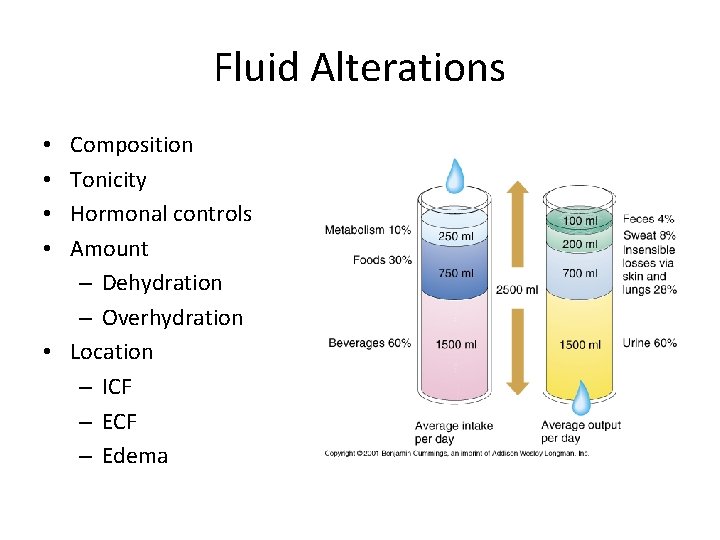 Fluid Alterations Composition Tonicity Hormonal controls Amount – Dehydration – Overhydration • Location –