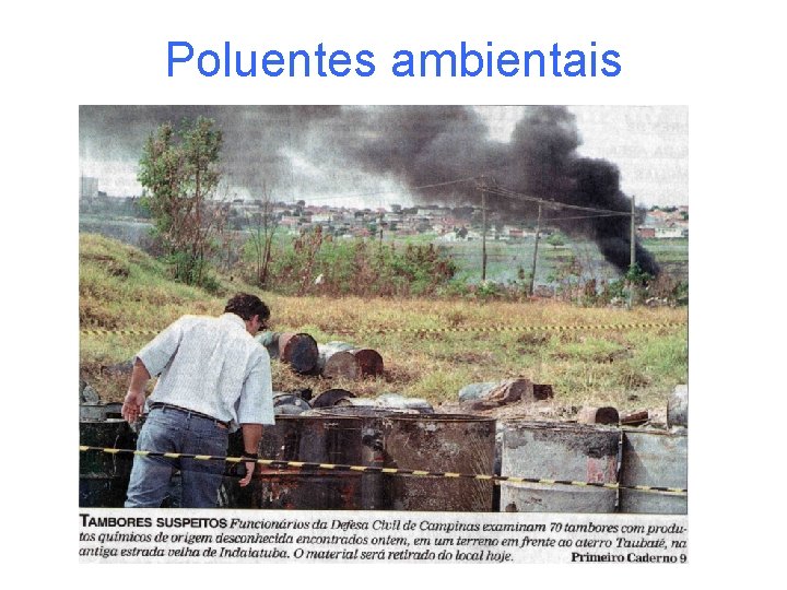 Poluentes ambientais 