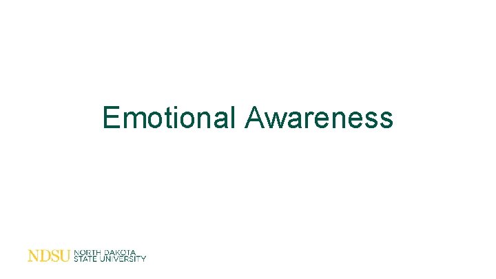 Emotional Awareness 