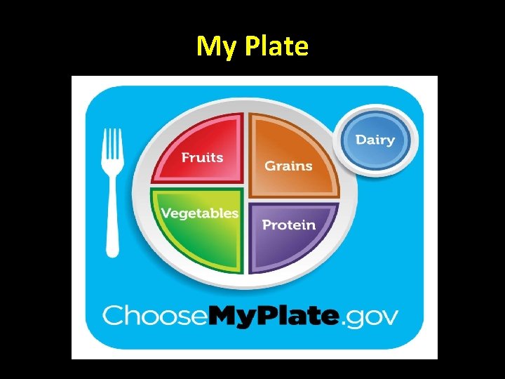 My Plate 