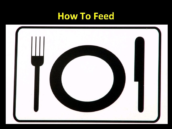 How To Feed 