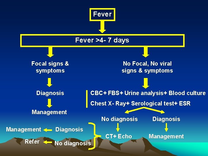 Fever >4 - 7 days Focal signs & symptoms No Focal, No viral signs