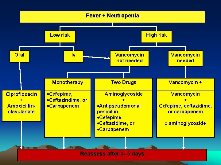 Fever + Neutropenia Low risk Oral High risk Vancomycin not needed Iv Monotherapy Ciprofloxacin