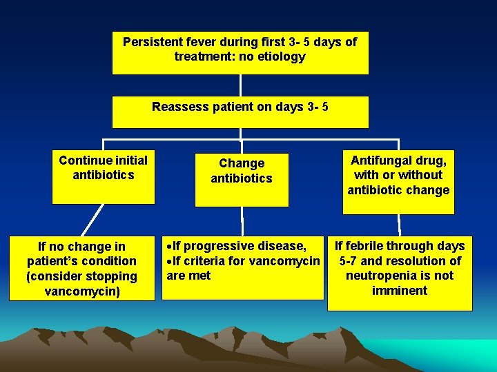 Persistent fever during first 3 - 5 days of treatment: no etiology Reassess patient