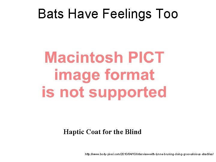 Bats Have Feelings Too Haptic Coat for the Blind http: //www. body-pixel. com/2010/04/10/interview-with-lynne-bruning-doing-groovalicious-etextiles/ 