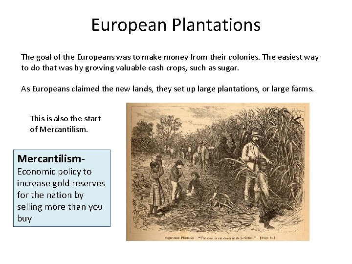 European Plantations The goal of the Europeans was to make money from their colonies.
