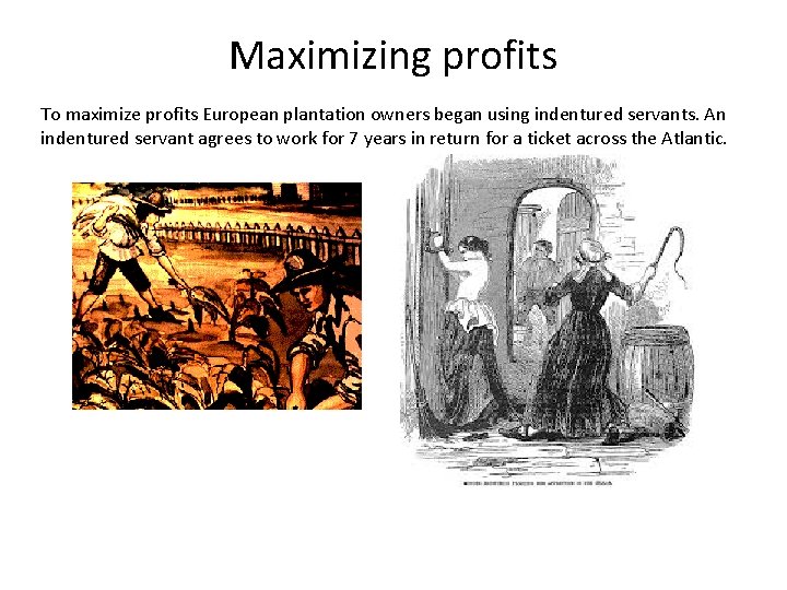 Maximizing profits To maximize profits European plantation owners began using indentured servants. An indentured