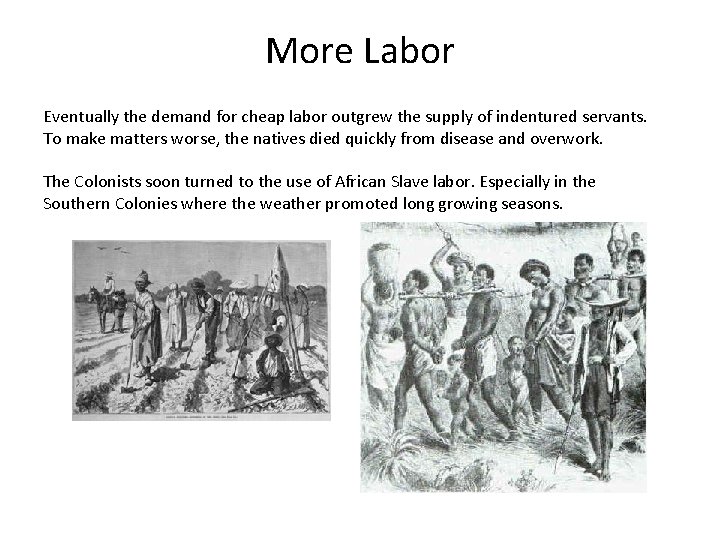 More Labor Eventually the demand for cheap labor outgrew the supply of indentured servants.