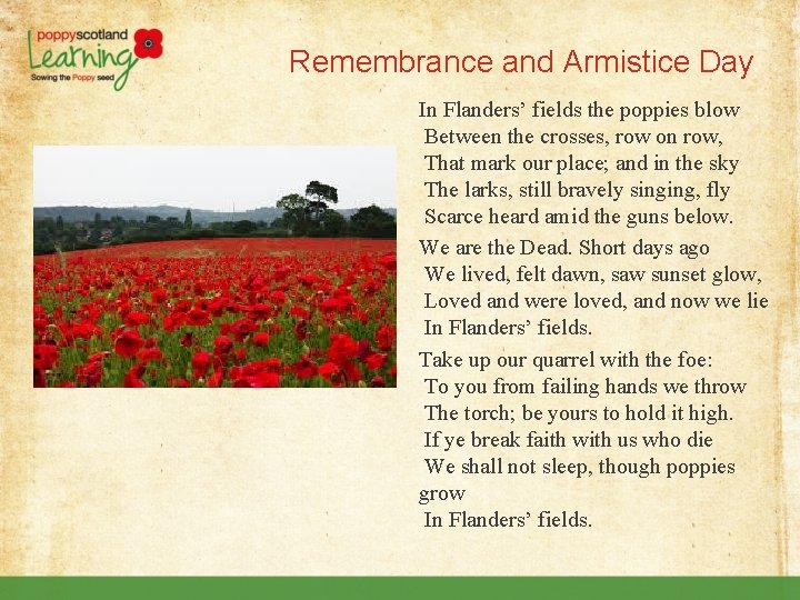 Remembrance and Armistice Day In Flanders’ fields the poppies blow Between the crosses, row
