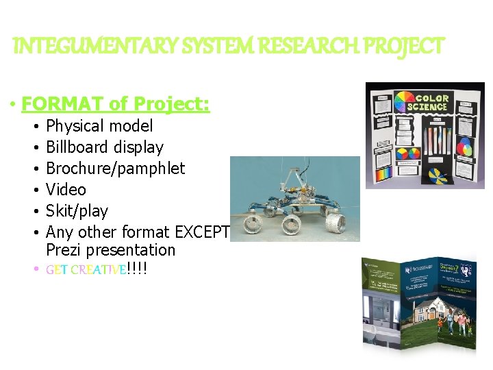 INTEGUMENTARY SYSTEM RESEARCH PROJECT • FORMAT of Project: Physical model Billboard display Brochure/pamphlet Video