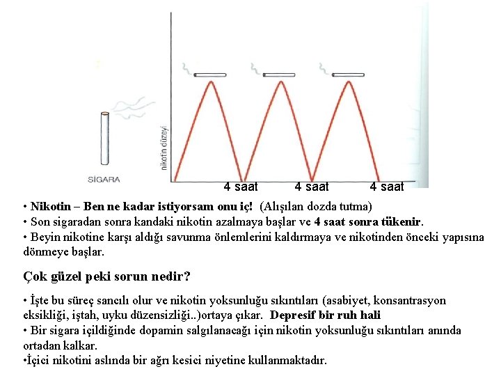 4 saat • Nikotin – Ben ne kadar istiyorsam onu iç! (Alışılan dozda tutma)