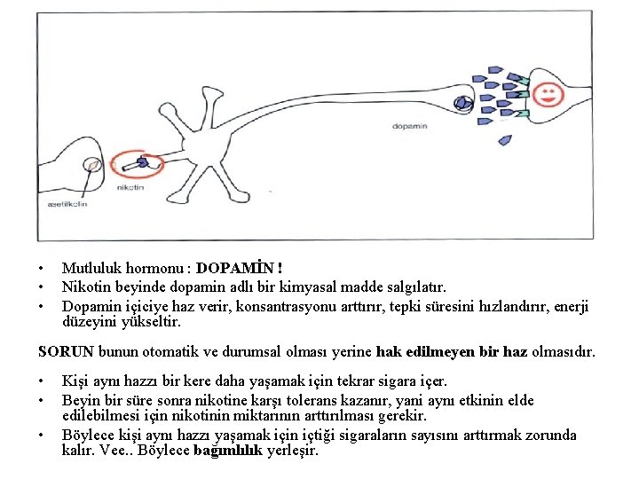  • • • Mutluluk hormonu : DOPAMİN ! Nikotin beyinde dopamin adlı bir