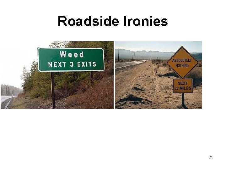 Roadside Ironies 2 