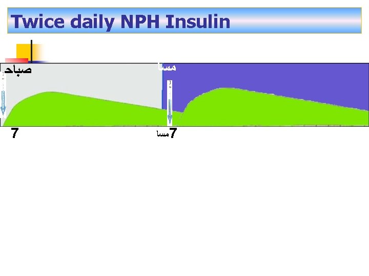 Twice daily NPH Insulin ﺻﺒﺎﺣ 7 ﻣﺴﺎ 7 