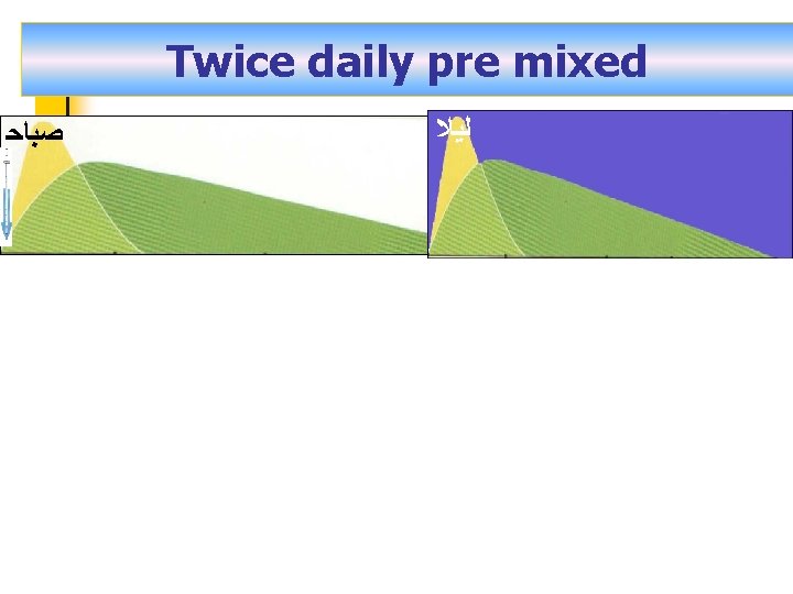 Twice daily pre mixed ﺻﺒﺎﺣ ﻟﻴﻼ 