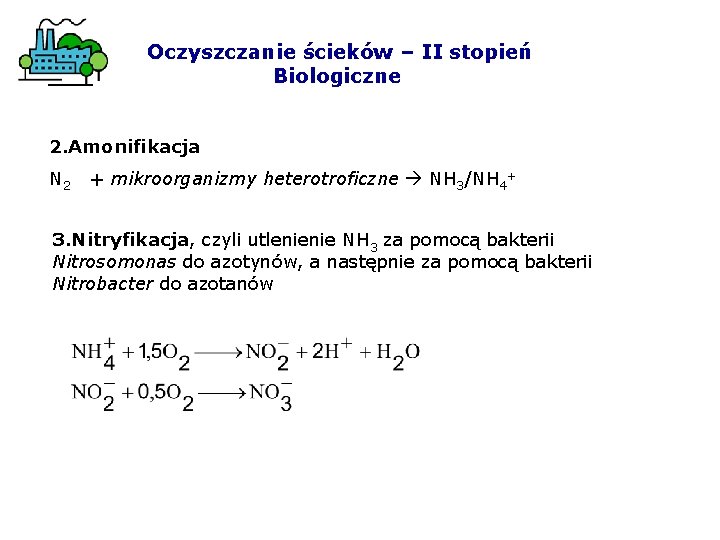 Oczyszczanie ścieków – II stopień Biologiczne 2. Amonifikacja N 2 + mikroorganizmy heterotroficzne NH