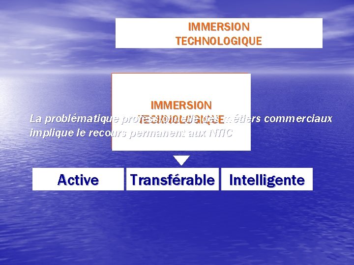 IMMERSION TECHNOLOGIQUE Utilisateur IMMERSION Vecteur de l’information La problématique professionnelle des métiers commerciaux TECHNOLOGIQUE