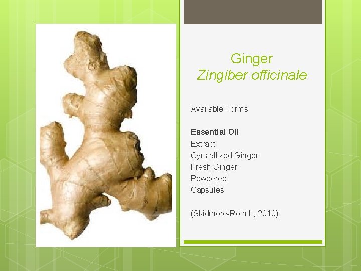 Ginger Zingiber officinale Available Forms Essential Oil Extract Cyrstallized Ginger Fresh Ginger Powdered Capsules