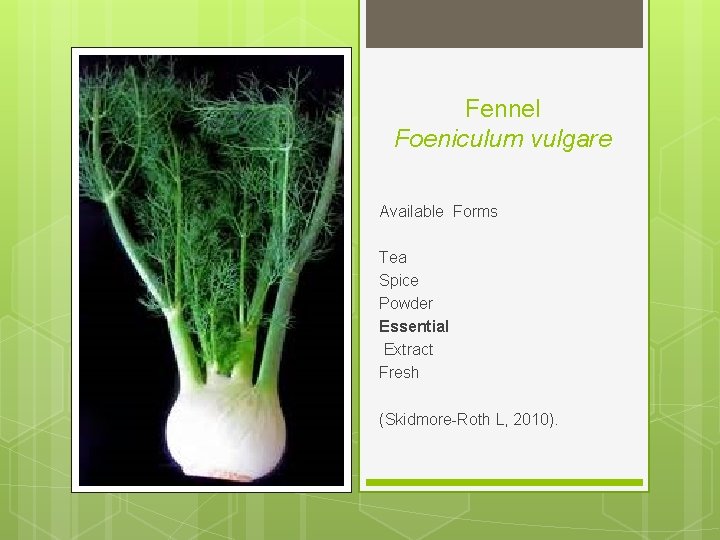 Fennel Foeniculum vulgare Available Forms Tea Spice Powder Essential Extract Fresh (Skidmore-Roth L, 2010).