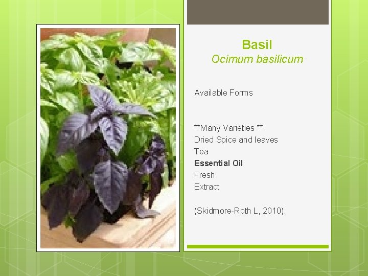 Basil Ocimum basilicum Available Forms **Many Varieties ** Dried Spice and leaves Tea Essential