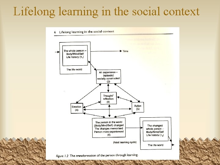 Lifelong learning in the social context 