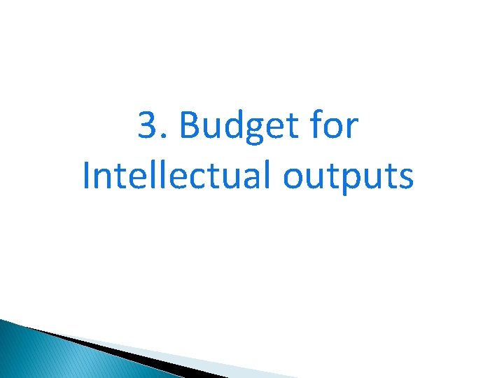 3. Budget for Intellectual outputs 31 