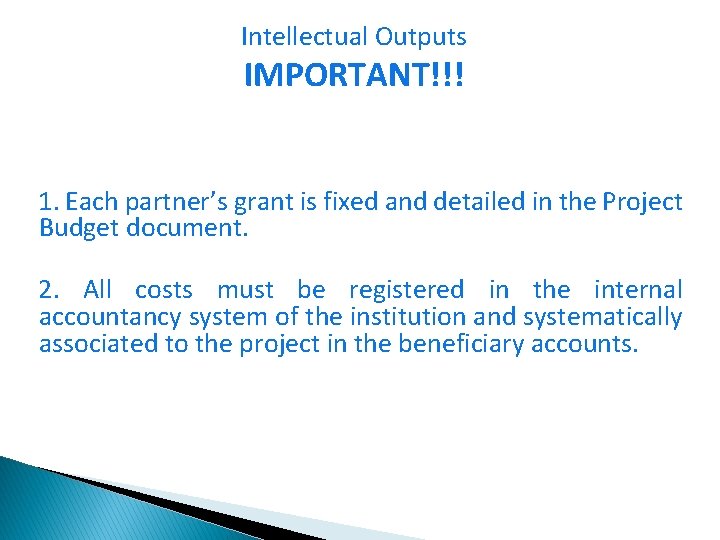 Intellectual Outputs IMPORTANT!!! 1. Each partner’s grant is fixed and detailed in the Project