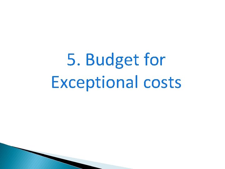 5. Budget for Exceptional costs 51 