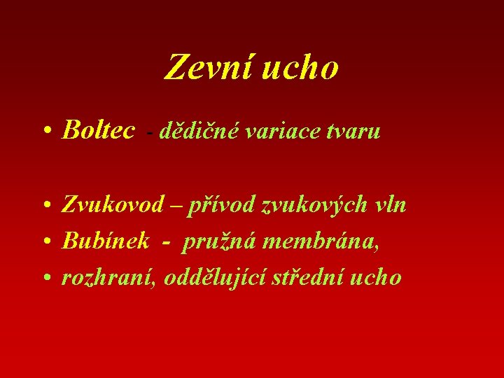 Zevní ucho • Boltec - dědičné variace tvaru • Zvukovod – přívod zvukových vln