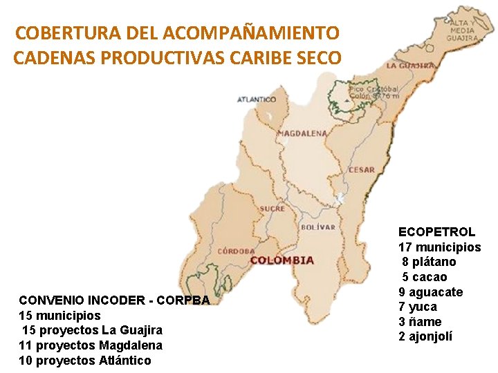 COBERTURA DEL ACOMPAÑAMIENTO CADENAS PRODUCTIVAS CARIBE SECO CONVENIO INCODER - CORPBA 15 municipios 15