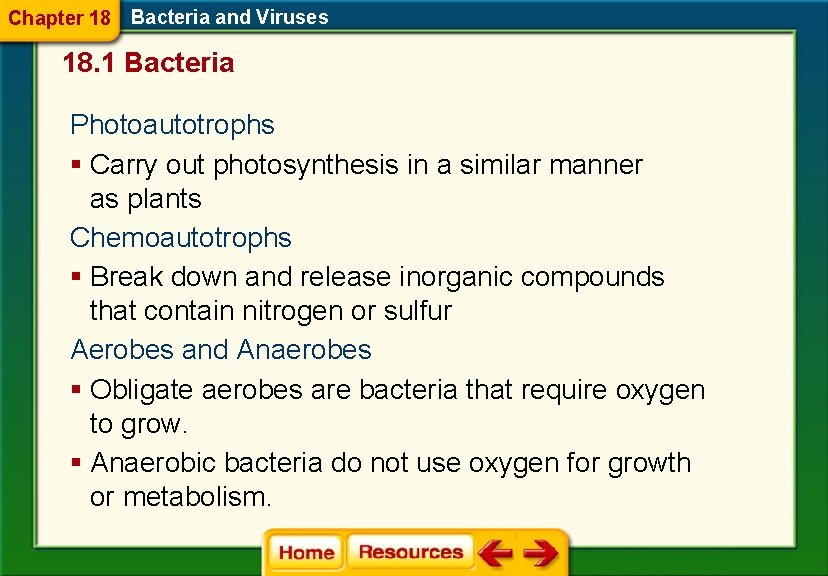 Chapter 18 Bacteria and Viruses 18. 1 Bacteria Photoautotrophs § Carry out photosynthesis in