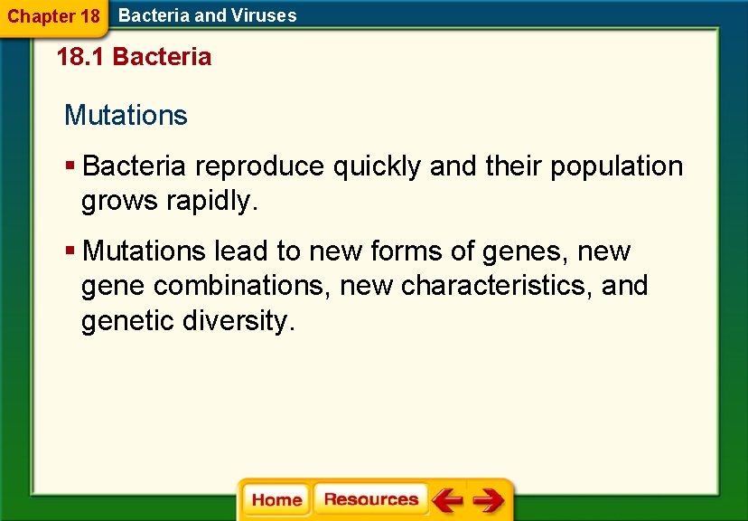 Chapter 18 Bacteria and Viruses 18. 1 Bacteria Mutations § Bacteria reproduce quickly and