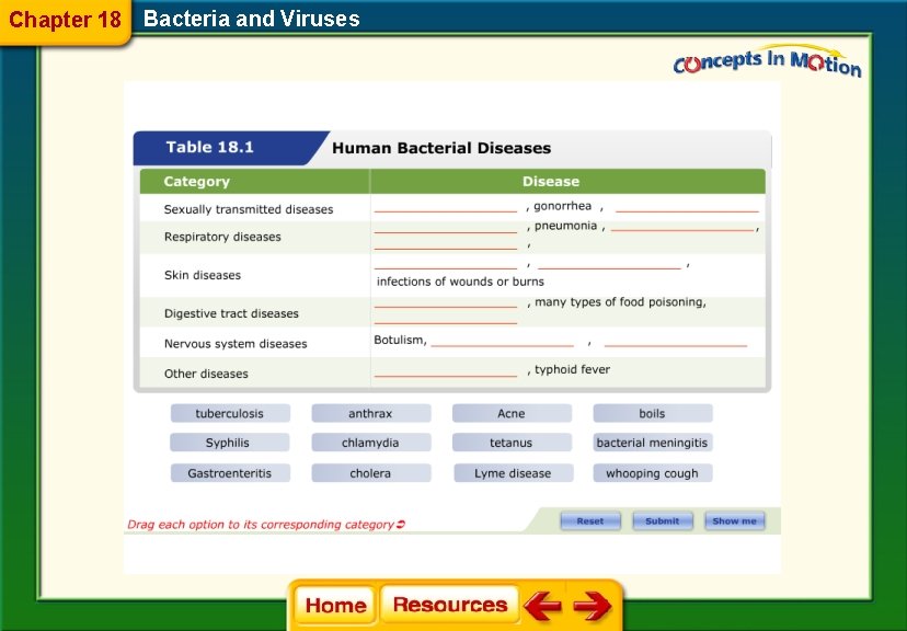 Chapter 18 Bacteria and Viruses 