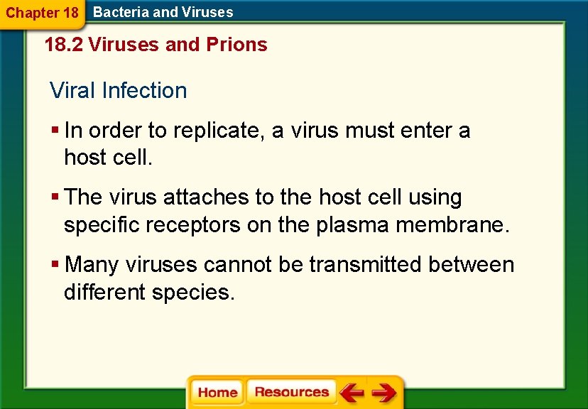 Chapter 18 Bacteria and Viruses 18. 2 Viruses and Prions Viral Infection § In