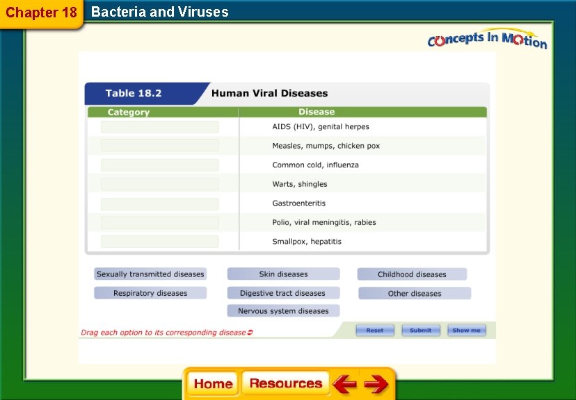 Chapter 18 Bacteria and Viruses 