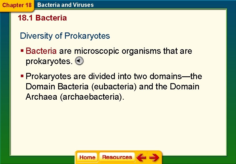 Chapter 18 Bacteria and Viruses 18. 1 Bacteria Diversity of Prokaryotes § Bacteria are