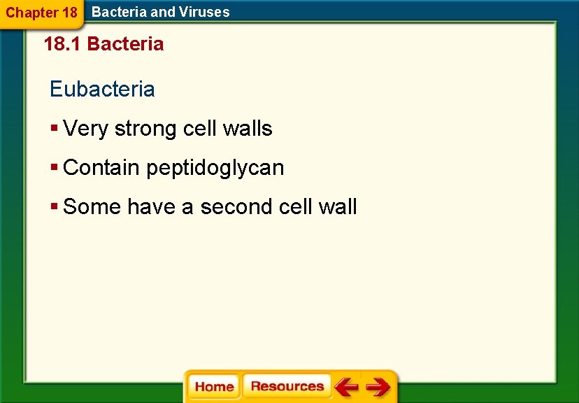 Chapter 18 Bacteria and Viruses 18. 1 Bacteria Eubacteria § Very strong cell walls