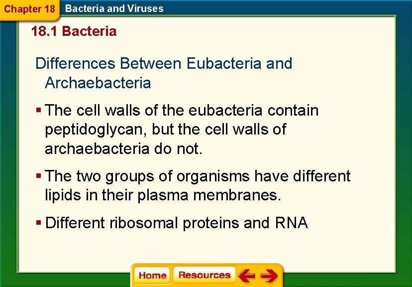 Chapter 18 Bacteria and Viruses 18. 1 Bacteria Differences Between Eubacteria and Archaebacteria §