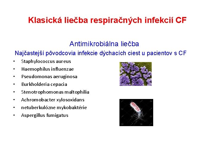 Klasická liečba respiračných infekcií CF Antimikrobiálna liečba Najčastejší pôvodcovia infekcie dýchacích ciest u pacientov