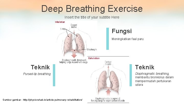 Deep Breathing Exercise Insert the title of your subtitle Here Fungsi Meningkatkan faal paru