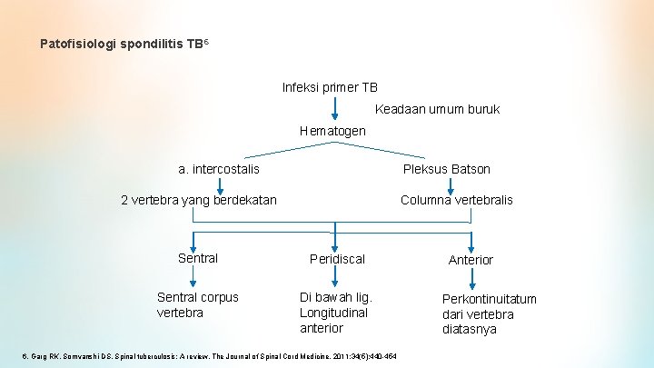 Patofisiologi spondilitis TB 6 Infeksi primer TB Keadaan umum buruk Hematogen Pleksus Batson a.