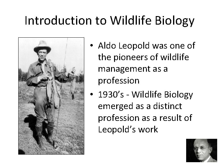 Introduction to Wildlife Biology • Aldo Leopold was one of the pioneers of wildlife