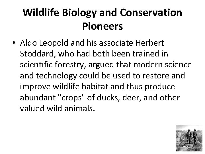 Wildlife Biology and Conservation Pioneers • Aldo Leopold and his associate Herbert Stoddard, who