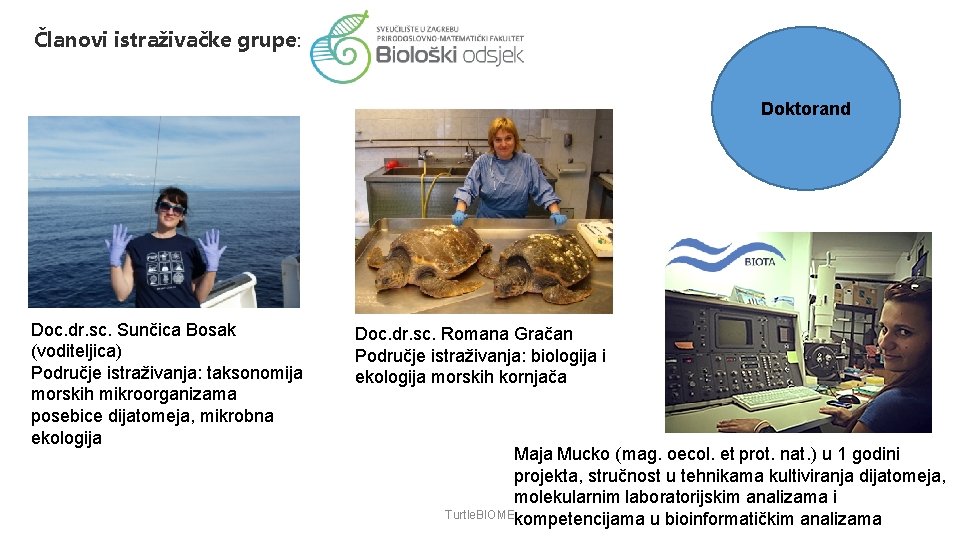Članovi istraživačke grupe: Doktorand Doc. dr. sc. Sunčica Bosak (voditeljica) Područje istraživanja: taksonomija morskih
