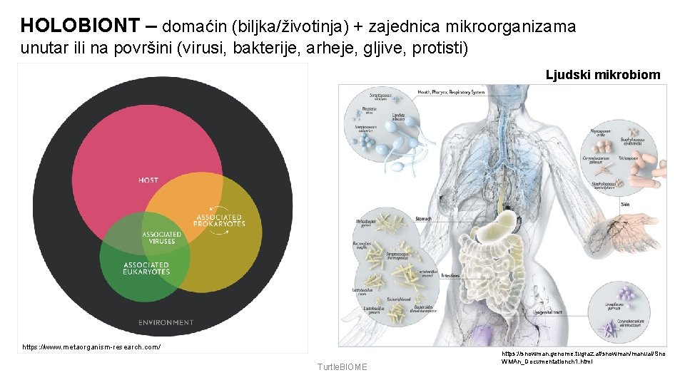 HOLOBIONT – domaćin (biljka/životinja) + zajednica mikroorganizama unutar ili na površini (virusi, bakterije, arheje,