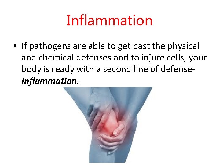 Inflammation • If pathogens are able to get past the physical and chemical defenses