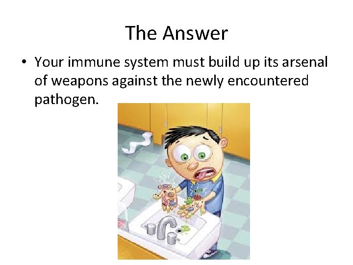 The Answer • Your immune system must build up its arsenal of weapons against